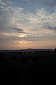 2007/08/11/202.jpg