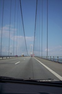 2007/08/14/003.jpg