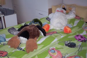 2007/08/17/001.jpg