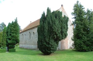2007/08/18/016.jpg
