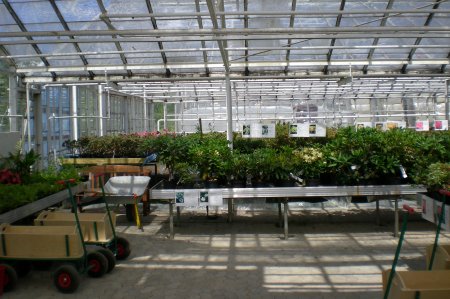 2008/06/06/004.jpg