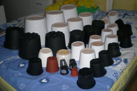 2009/11/09/101.jpg