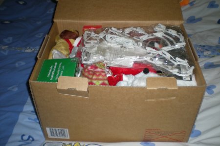 2011/01/17/002.jpg