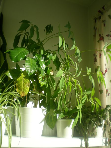 2011/03/05/001.jpg