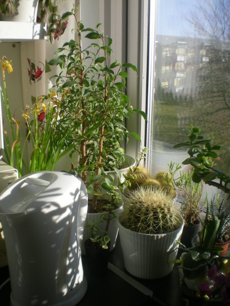 2011/03/05/002.jpg