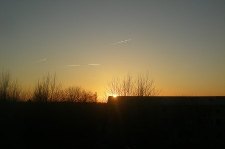 2011/03/05/401.jpg