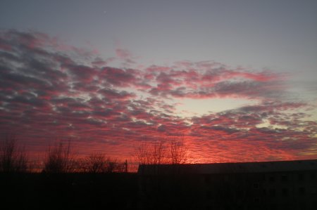 2011/03/07/201.jpg