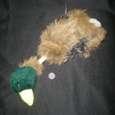 2011/03/09/201.jpg