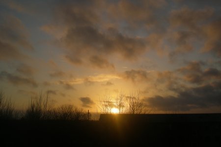 2011/03/09/301.jpg