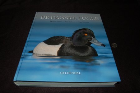 2011/03/19/302.jpg
