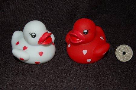 2011/03/19/308.jpg