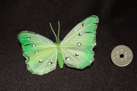 2011/03/19/310.jpg