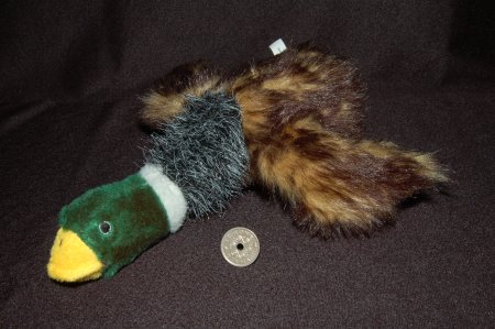 2011/03/19/312.jpg