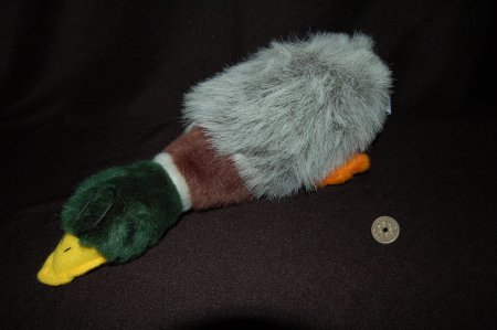 2011/03/19/313.jpg