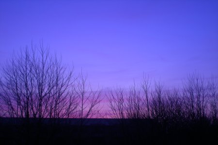 2011/03/21/001.jpg