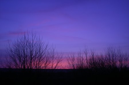 2011/03/21/002.jpg