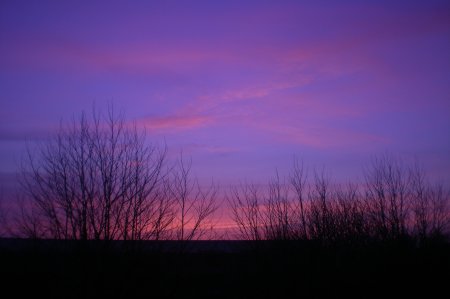 2011/03/21/003.jpg