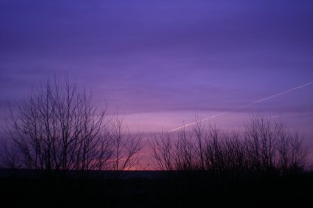 2011/03/21/006.jpg