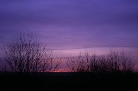 2011/03/21/007.jpg