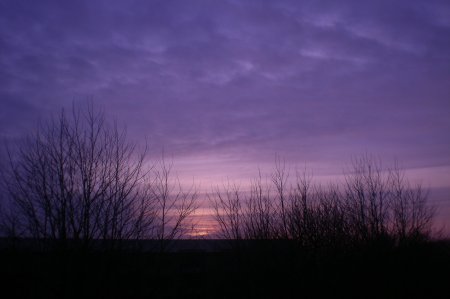 2011/03/21/008.jpg