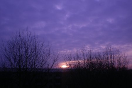 2011/03/21/009.jpg