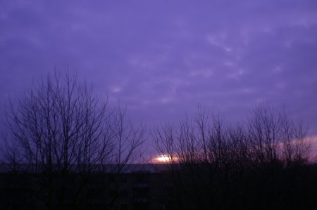 2011/03/21/010.jpg