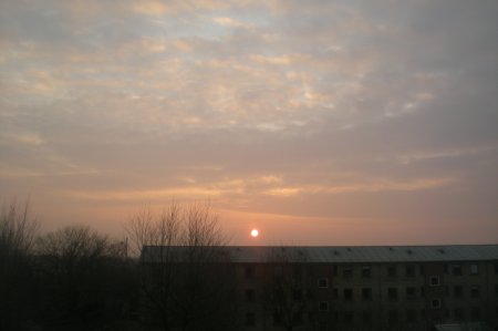 2011/03/21/204.jpg