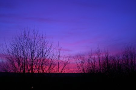 2011/03/23/101.jpg