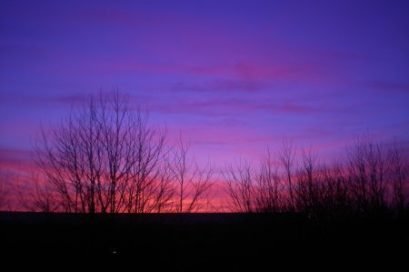 2011/03/23/102.jpg