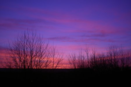 2011/03/23/103.jpg