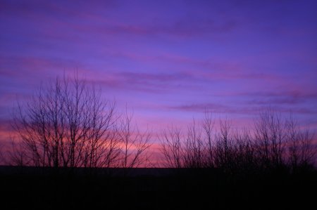 2011/03/23/104.jpg
