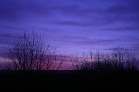 2011/03/23/105.jpg
