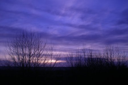 2011/03/23/107.jpg