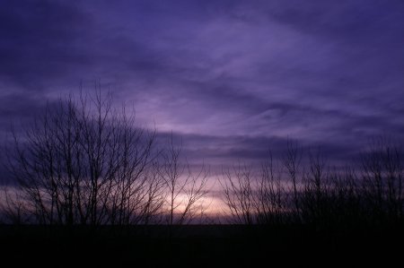 2011/03/23/108.jpg