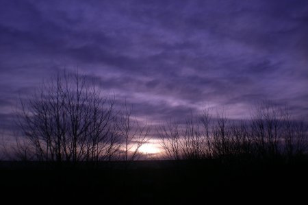 2011/03/23/109.jpg