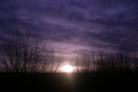 2011/03/23/110.jpg