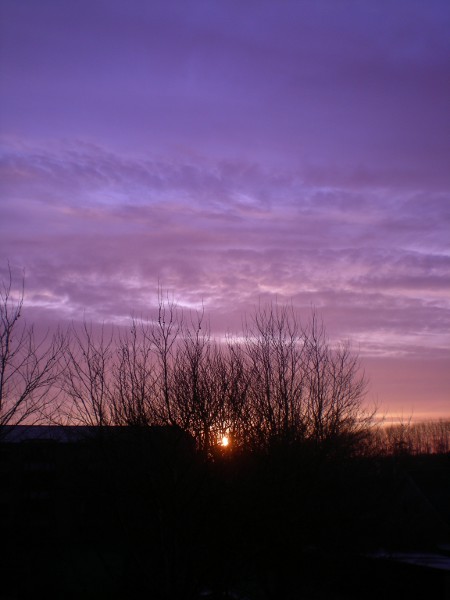 2012/02/27/002.jpg