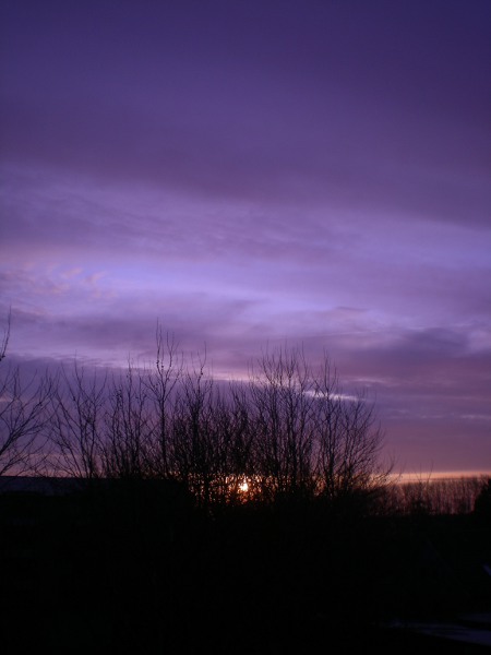 2012/02/27/003.jpg