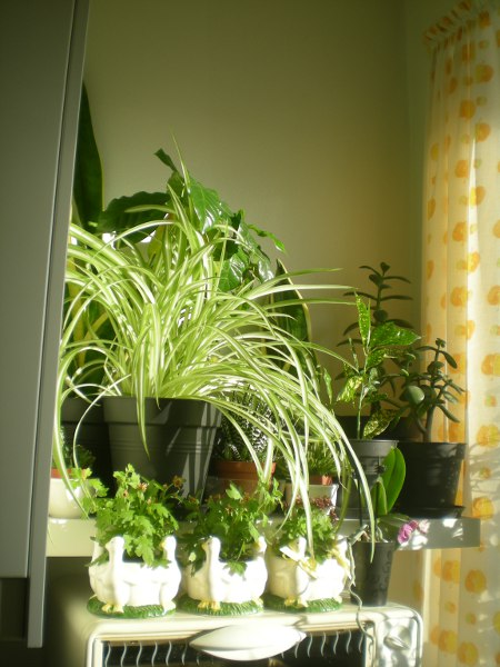 2012/03/03/102.jpg