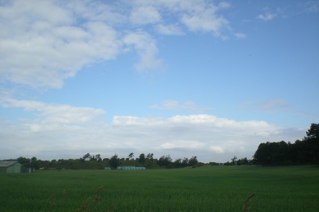 2012/06/16/156.jpg