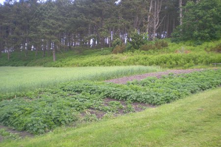 2012/06/16/159.jpg