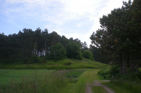 2012/06/16/161.jpg