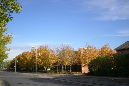 2012/10/18/201.jpg