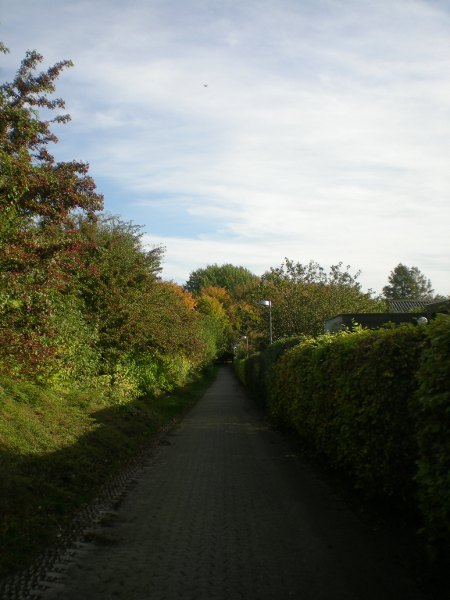 2012/10/18/203.jpg