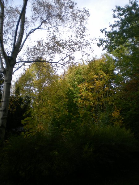 2012/10/18/208.jpg