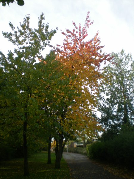 2012/10/18/210.jpg