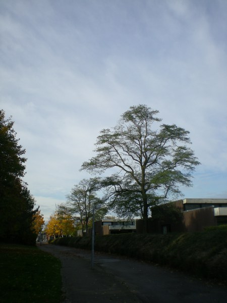 2012/10/18/211.jpg
