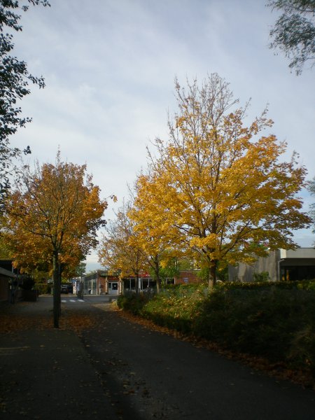 2012/10/18/212.jpg