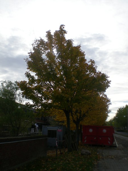 2012/10/18/214.jpg