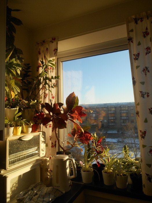 2017/02/15/0902.jpg